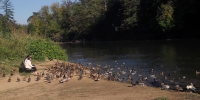 Tualatin River at Cook Park, Tigard, OR